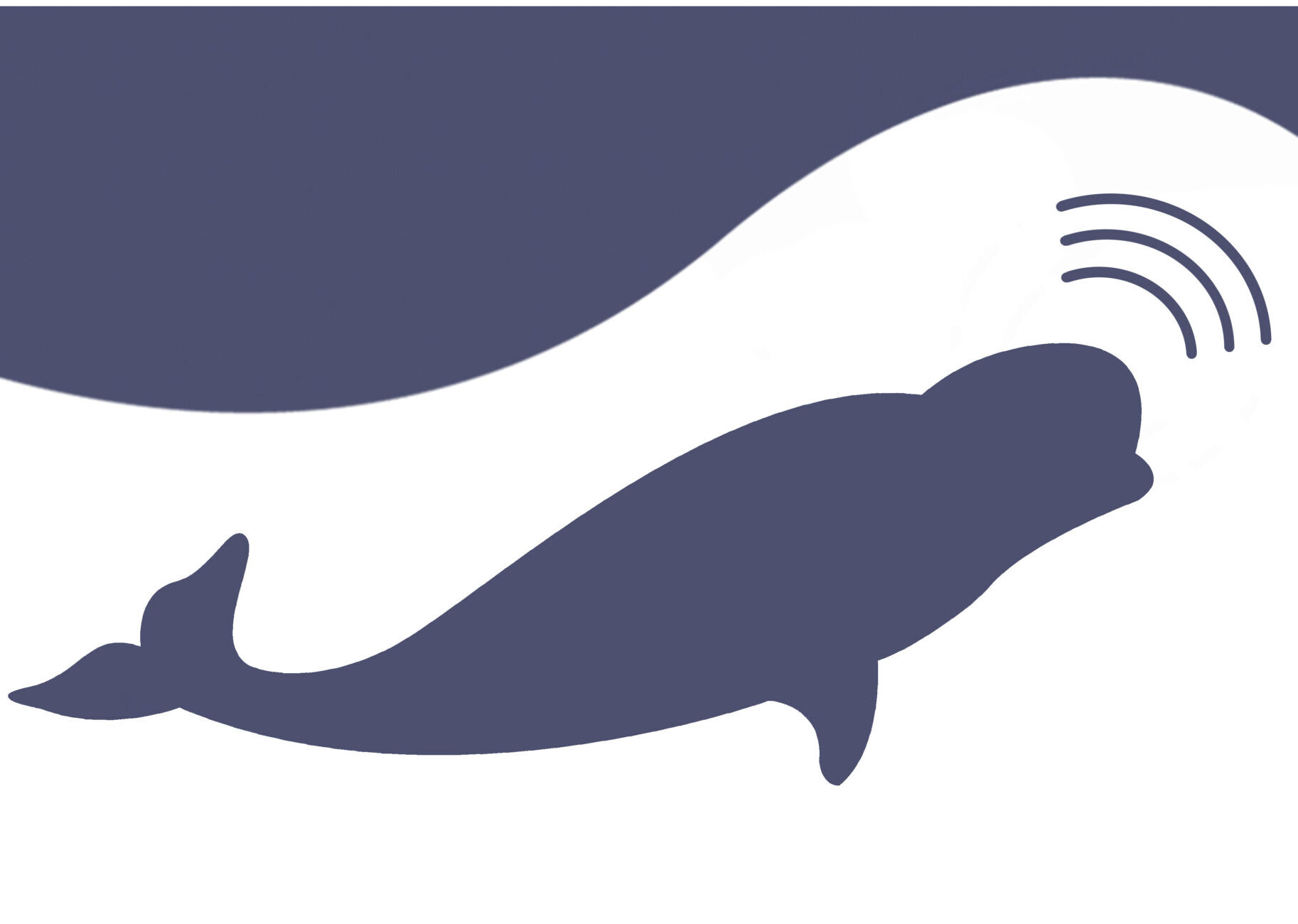 Beluga Communications